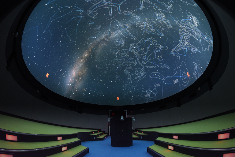 ߤŷʸץͥꥦƼ(꡼ľ8m)Ǥ